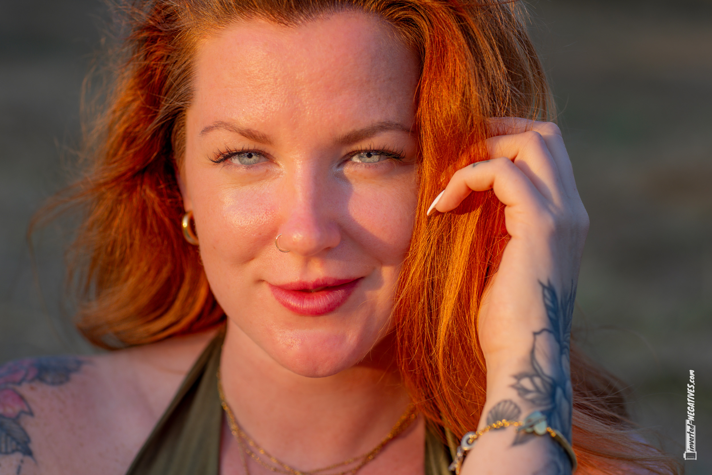 Abendsonne im Olivenhain